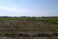 Продам землю в Крыму 6 соток