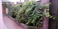 Сдам дом посуточно 1-этажный дом 50 м² ( ж/б панели ) на участке 2 сот. , в черте города