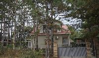 Море и лес?! Это реально совместить, если Вы приедете к нам!